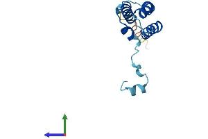 Protein Structure (PS) image for NADH Dehydrogenase (Ubiquinone) 1 alpha Subcomplex, 6, 14kDa (NDUFA6) (AA 1-131) protein (His tag) (ABIN7560593)