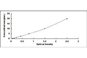 Typical standard curve (CRYbB2 ELISA 试剂盒)