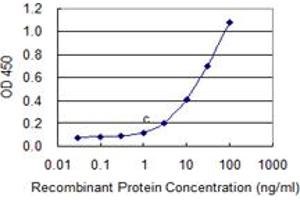 Detection limit for recombinant GST tagged C9orf103 is 0. (IdnK 抗体  (AA 41-141))