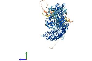 Protein Structure (PS) image for Nucleotide-Binding Oligomerization Domain Containing 1 (NOD1) (AA 1-953) protein (His tag) (ABIN7564355)