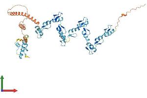 Protein Structure (PS) image for Zinc Finger Protein 253 (ZNF253) (AA 1-499) protein (His tag) (ABIN7545258)