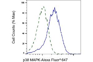 Validation of p38 MAPK knockdown using flow cytometry. (Recombinant MAPK14 抗体)