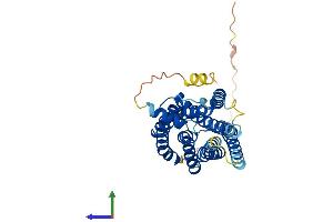 AlphaFold protein structure predicition of Human Recombinant CYSLTR2 Protein, UniprotID Q9NS75