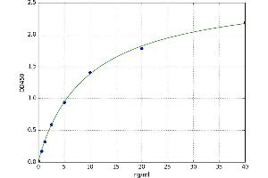 A typical standard curve (HDAC8 ELISA 试剂盒)