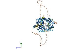 AlphaFold protein structure predicition of Mouse Recombinant Mfsd6l Protein, UniprotID Q8R3N2 (MFSD6L Protein (AA 1-586) (His tag))