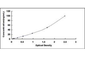 Typical standard curve (COL4a3 ELISA 试剂盒)