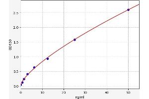 Typical standard curve (RARS ELISA 试剂盒)