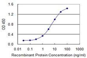 Detection limit for recombinant GST tagged FIS1 is 0. (Fission 1 抗体  (AA 1-152))