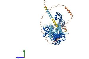 Protein Structure (PS) image for ATP-Binding Cassette, Sub-Family B (MDR/TAP), Member 7 (ABCB7) (AA 1-752) protein (His tag) (ABIN7557664)