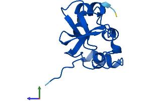 AlphaFold protein structure predicition of Mouse Recombinant Supt4h1b Protein, UniprotID Q9Z199 (Supt4h1b (AA 1-117) protein (His tag))