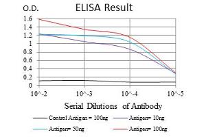 Image no. 1 for anti-Baculoviral IAP Repeat-Containing 5 (BIRC5) antibody (ABIN1501243) (Survivin 抗体)