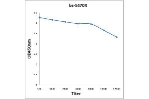 Antigen: 0. (MDM2 抗体  (pThr218))