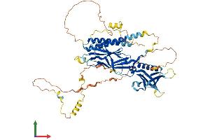 Protein Structure (PS) image for Rhotekin (RTKN) (AA 1-563) protein (His tag) (ABIN7551633)
