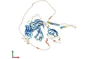 Protein Structure (PS) image for Extended Synaptotagmin-Like Protein 3 (ESYT3) (AA 1-886) protein (His tag) (ABIN7553809)