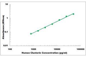 Representative Standard Curve (Clusterin ELISA 试剂盒)