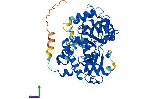 Protein Structure (PS) image for SMYD Family Member 5 (SMYD5) (AA 1-416) protein (His tag) (ABIN7557106)