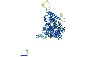 Protein Structure (PS) image for Solute Carrier Family 13 Member 5 (SLC13A5) (AA 1-572) protein (His tag) (ABIN7557875)