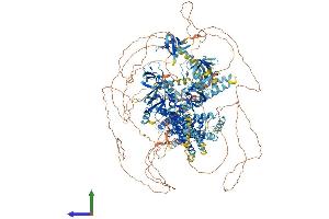 AlphaFold protein structure predicition of Mouse Recombinant Dnmbp Protein, UniprotID Q6TXD4