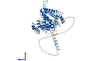 Protein Structure (PS) image for Ankyrin Repeat and MYND Domain Containing 2 (ANKMY2) (AA 1-440) protein (His tag) (ABIN7557076)