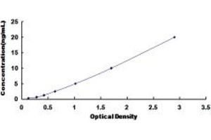 Typical standard curve (TSH receptor ELISA 试剂盒)