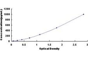 Typical standard curve (CD25 ELISA 试剂盒)