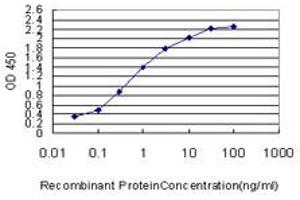 Detection limit for recombinant GST tagged IDH2 is approximately 0. (IDH2 抗体  (AA 354-451))