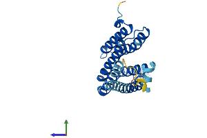 Protein Structure (PS) image for CDP-Diacylglycerol--Inositol 3-Phosphatidyltransferase (CDIPT) (AA 1-213) protein (His tag) (ABIN7553269)