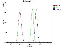 Flow Cytometry analysis of A549 cells using anti- Retinoid X Receptor alpha/RXRA antibody (ABIN7600721).