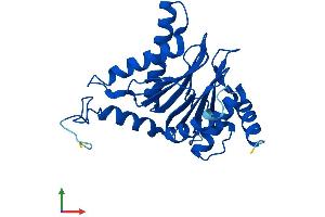 AlphaFold protein structure predicition of Human Recombinant PSMA6 Protein, UniprotID P60900