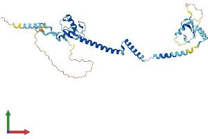AlphaFold protein structure predicition of Mouse Recombinant Rnf32 Protein, UniprotID Q9JIT1