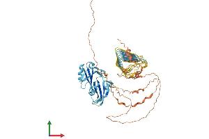 AlphaFold protein structure predicition of Human Recombinant DAZ4 Protein, UniprotID Q86SG3