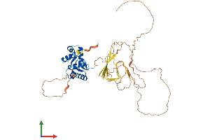 Protein Structure (PS) image for Z-DNA Binding Protein 1 (ZBP1) (AA 1-429) protein (His tag) (ABIN7545522)