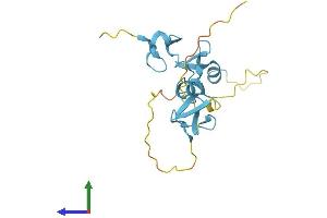Protein Structure (PS) image for Cysteine and Glycine-Rich Protein 2 (CSRP2) (AA 1-193) protein (His tag) (ABIN7556780)