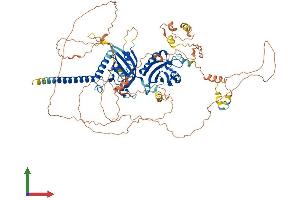 AlphaFold protein structure predicition of Mouse Recombinant Hif1a Protein, UniprotID Q61221