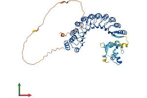 AlphaFold protein structure predicition of Human Recombinant LRRC74A Protein, UniprotID Q0VAA2