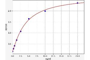 Typical standard curve (HCN4 ELISA 试剂盒)
