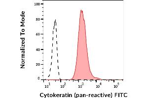 Separation of HeLa cell line (red-filled) from human peripheral whole blood (black-dashed) in flow cytometry analysis (intracellular staining) stained using anti-human cytokeratin (C-11) FITC antibody (concentration in sample 3 μg/mL). (Cytokeratins 抗体 (FITC))