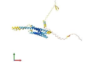 AlphaFold protein structure predicition of Human Recombinant TMEM176B Protein, UniprotID Q3YBM2