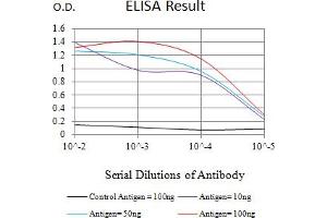 Black line: Control Antigen (100 ng),Purple line: Antigen (10 ng), Blue line: Antigen (50 ng), Red line:Antigen (100 ng) (Rubicon 抗体  (AA 859-972))
