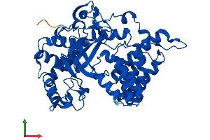AlphaFold protein structure predicition of Human Recombinant SMYD2 Protein, UniprotID Q9NRG4
