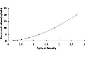 Typical standard curve (DIDO1 ELISA 试剂盒)