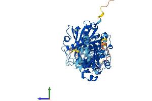 Protein Structure (PS) image for Sterol Carrier Protein 2 (SCP2) (AA 1-547) protein (His tag) (ABIN7549807)