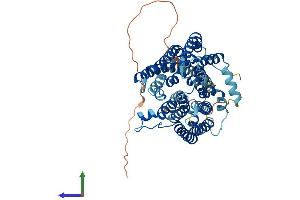 Protein Structure (PS) image for Solute Carrier Family 33 Member 1 (SLC33A1) (AA 1-549) protein (His tag) (ABIN7551848)
