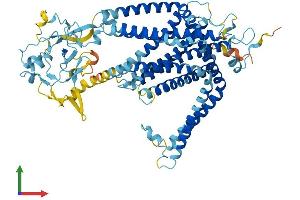 Protein Structure (PS) image for Solute Carrier Family 44, Member 2 (SLC44A2) (AA 1-706) protein (His tag) (ABIN7559014)