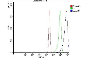Flow Cytometry analysis of K562 cells using anti-Caspase-8/CASP8 antibody (ABIN7600658).