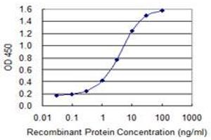 Detection limit for recombinant GST tagged LSP1 is 0. (LSP1 抗体  (AA 240-338))