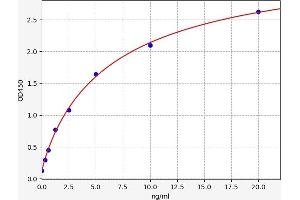Typical standard curve (P2RX7 ELISA 试剂盒)