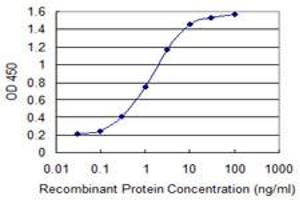 Detection limit for recombinant GST tagged GLS is 0. (Glutaminase 抗体  (AA 580-669))
