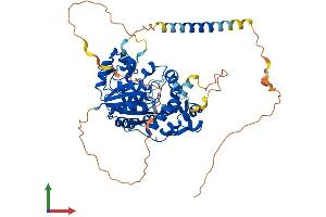Protein Structure (PS) image for Carbohydrate (N-Acetylglucosamine-6-O) Sulfotransferase 2 (CHST2) (AA 1-530) protein (His tag) (ABIN7553373)