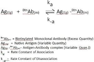 The essential reagents required for an immunoenzymometric assay include high affinity and specificity antibodies (enzyme and immobilized), with different and distinct epitope recognition, in excess, and native antigen. (hCG, PRL, LH, FSH CLIA Kit)